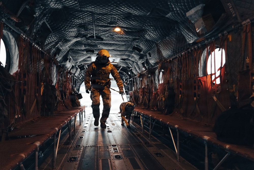 5th Special Forces Group (Airborne) conducts K-9 training