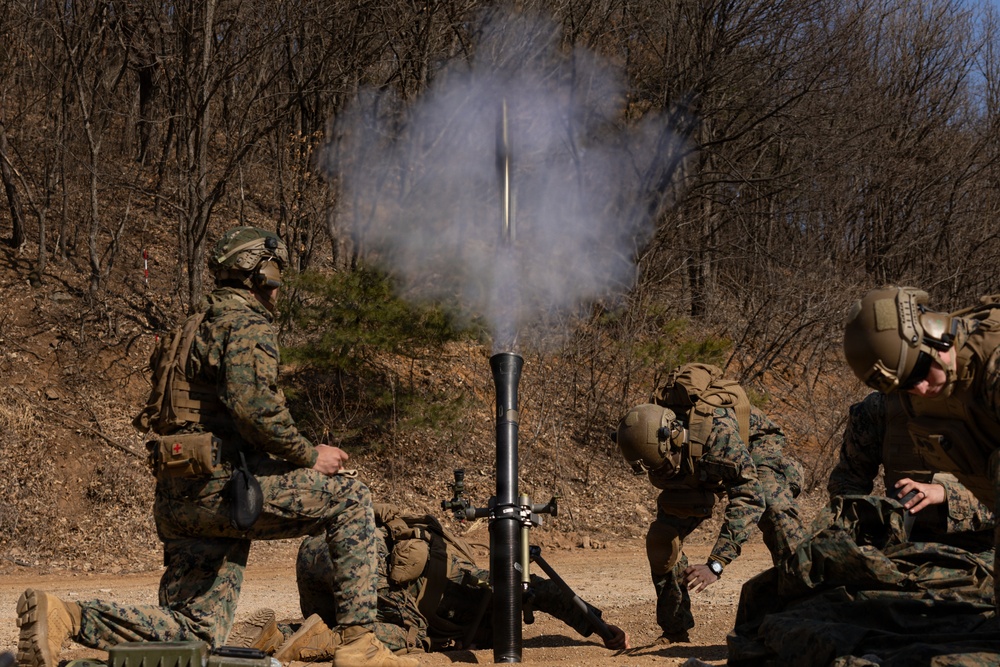 U.S. Marines with 12th LCT Fire 81mm Mortars During a CALFEX