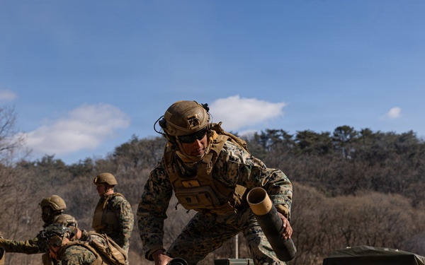 U.S. Marines with 12th LCT Fire 81mm Mortars During a CALFEX
