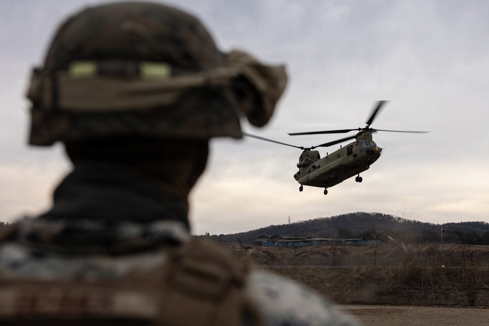 U.S. Marines with 12th LLB and U.S. Soldiers Execute an HST in the Republic of Korea