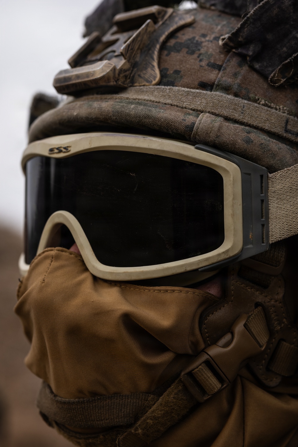U.S. Marines with 12th LLB and U.S. Soldiers Execute an HST in the Republic of Korea