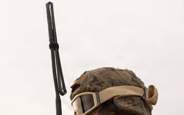 U.S. Marines with 12th LLB and U.S. Soldiers Execute an HST in the Republic of Korea