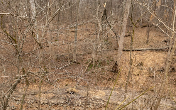 USACE Omaha District Rapid Response Technical Center of Expertise team assesses remediation areas at Potomac Interceptor collapse site