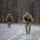 Soldiers compete in Tennessee State Best Warrior Competition