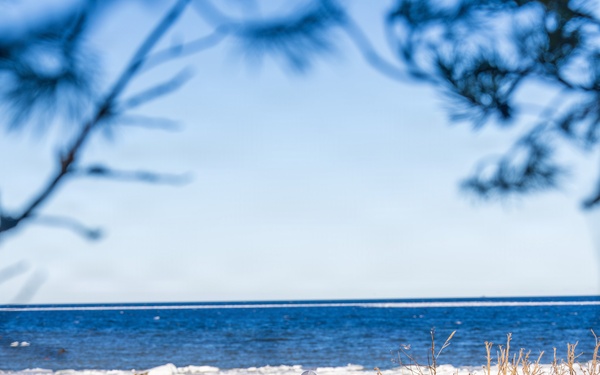 Digital Shield 2.0 strengthens allied air defense data integration in Estonia