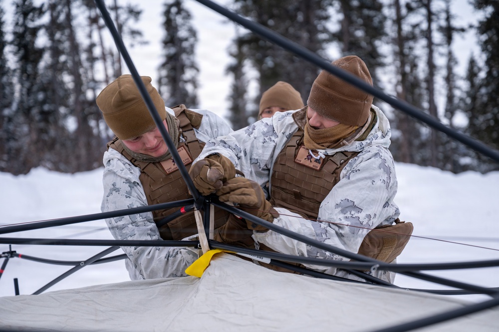 ARCTIC EDGE 2026: US Marines conduct dry-fire Stinger missile training