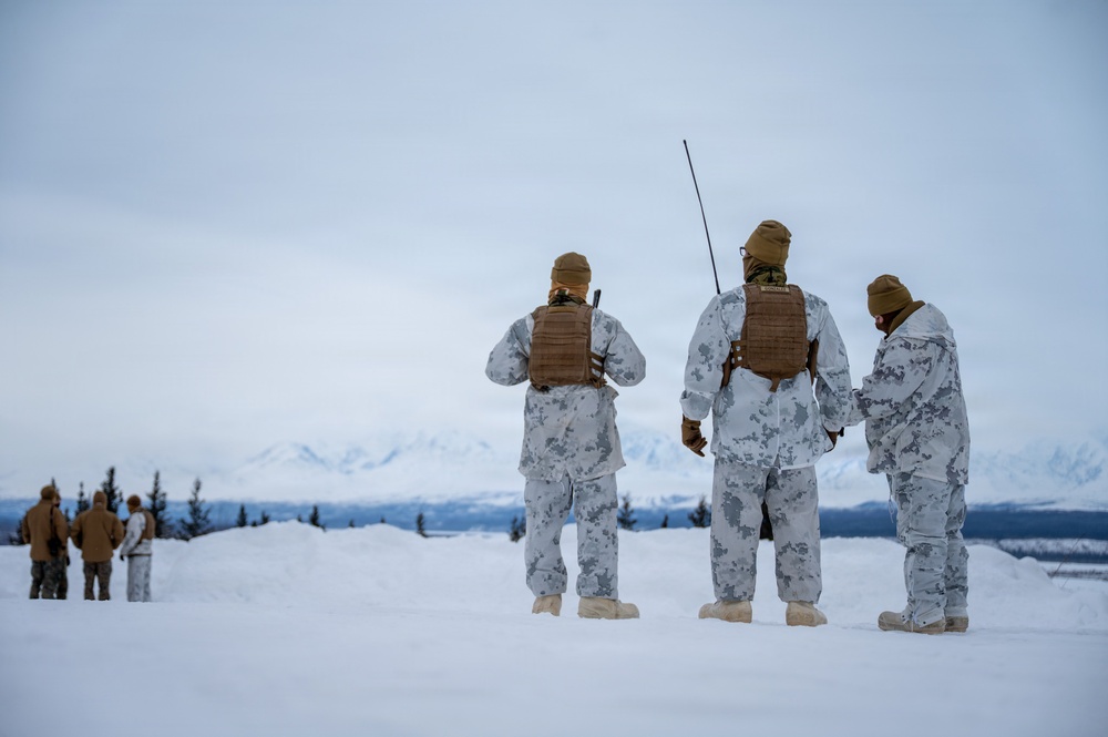 ARCTIC EDGE 2026: US Marines conduct dry-fire Stinger missile training