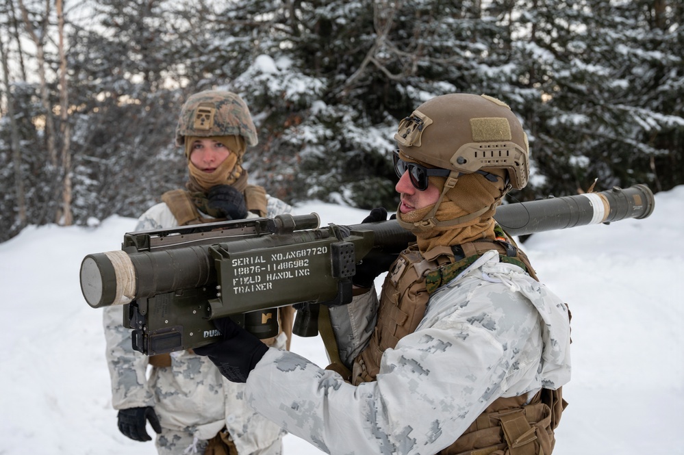 ARCTIC EDGE 2026: US Marines conduct dry-fire Stinger missile training