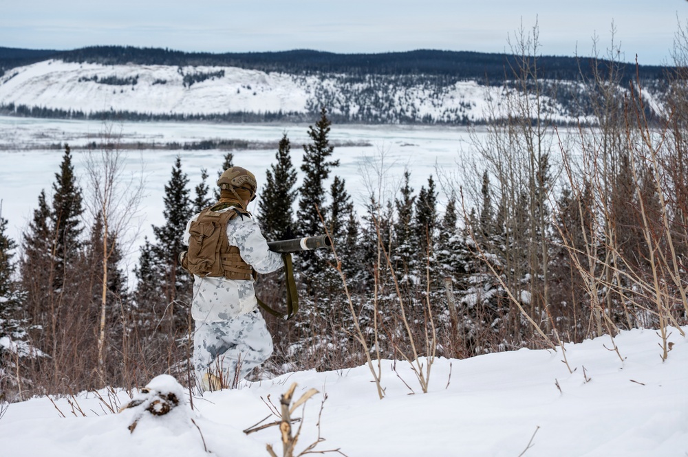 ARCTIC EDGE 2026: US Marines conduct dry-fire Stinger missile training