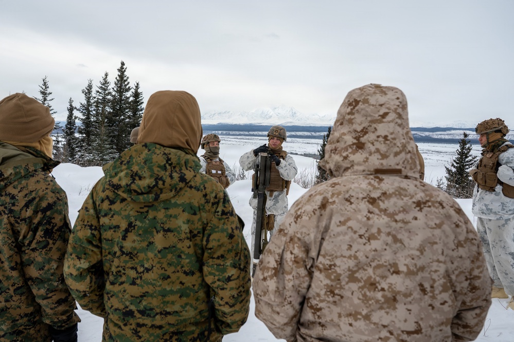 ARCTIC EDGE 2026: US Marines conduct dry-fire Stinger missile training