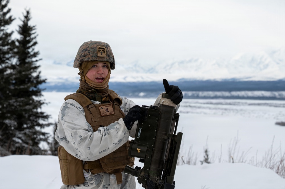 ARCTIC EDGE 2026: US Marines conduct dry-fire Stinger missile training