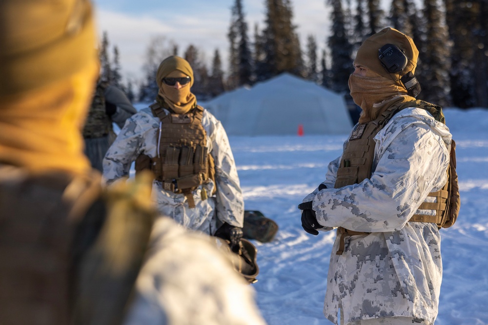 US Marines conduct OP6 Stinger live-fire exercise during ARCTIC EDGE 2026