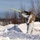 US Marines conduct OP6 Stinger live-fire exercise during ARCTIC EDGE 2026