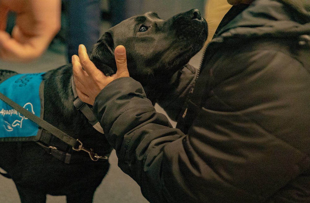 U.S. Army Special Operations Civil Affairs Conducts Realistic Military Training