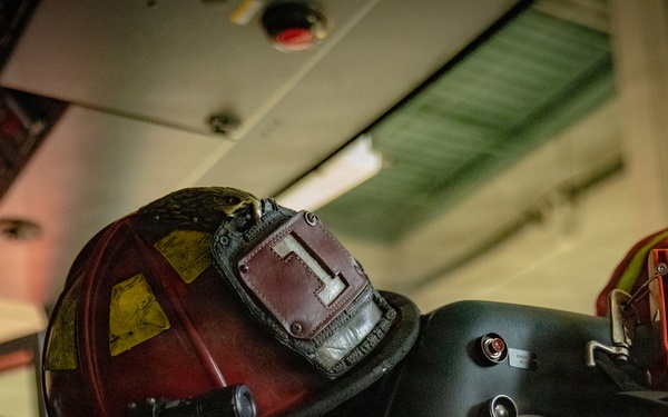 U.S. Army Special Operations Civil Affairs Conduct Realistic Military Training