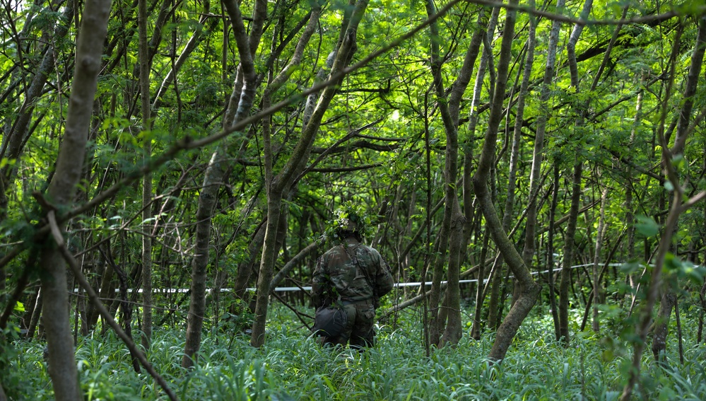 Best Warrior Competition 2026