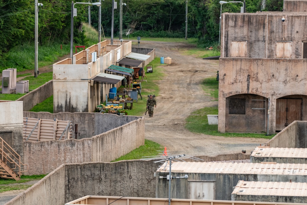 Pushing Each Other to the Limit: Hawaii Guardsmen Battle for Best Warrior Honors