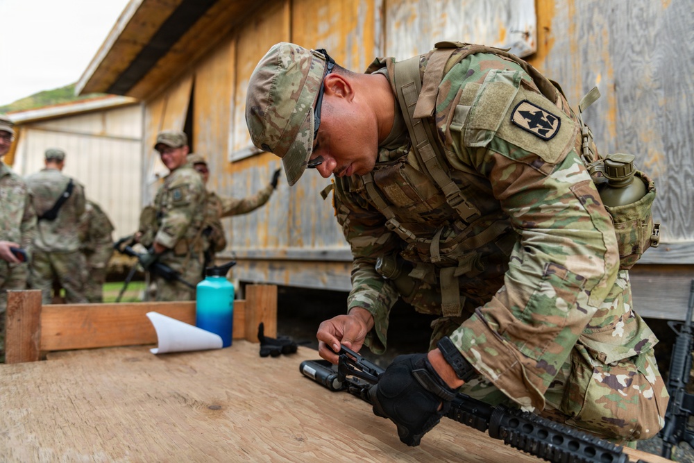 Pushing Each Other to the Limit: Hawaii Guardsmen Battle for Best Warrior Honors