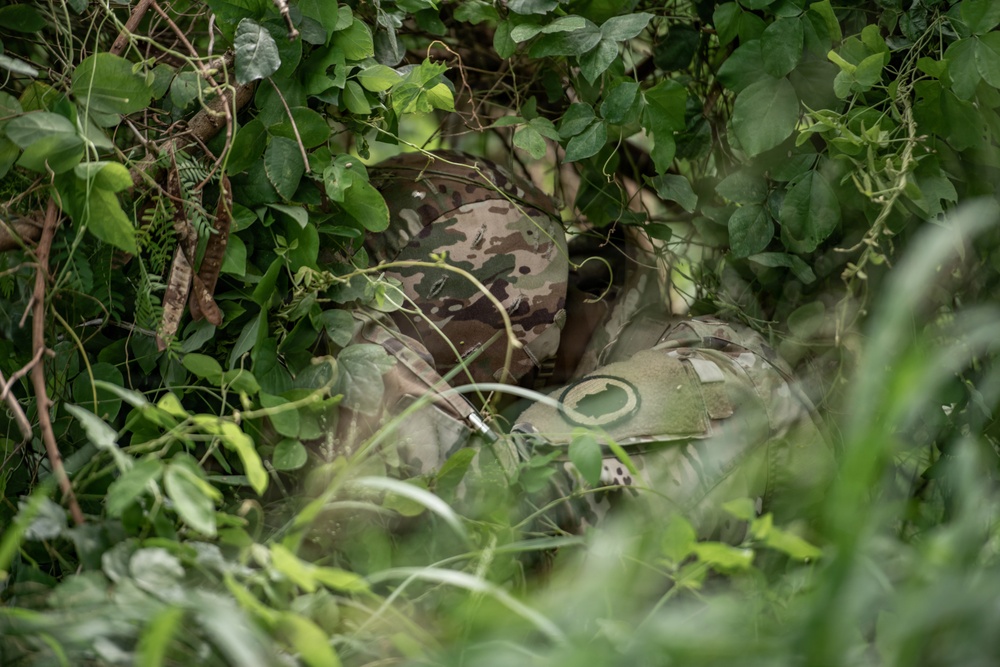 Pushing Each Other to the Limit: Hawaii Guardsmen Battle for Best Warrior Honors