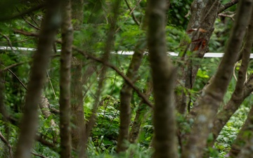 Pushing Each Other to the Limit: Hawaii Guardsmen Battle for Best Warrior Honors