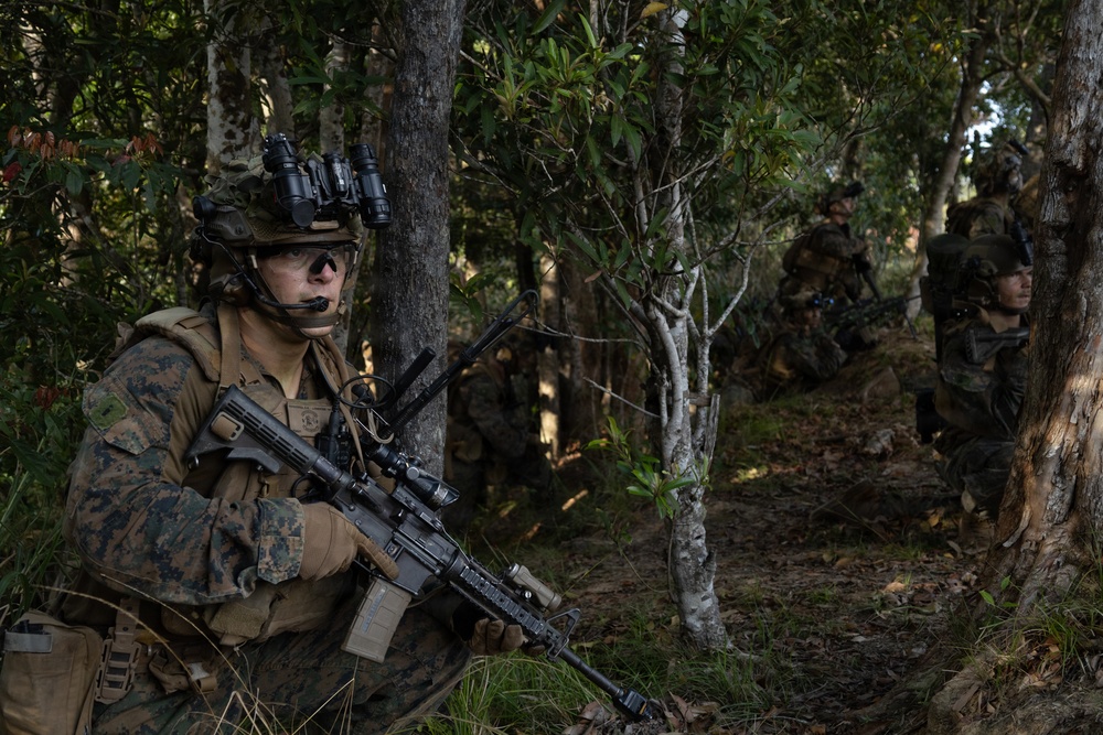 Iron Fist 26 | 31st MEU conducts raid alongside Japan Ground Self-Defense Force