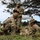 HIARNG BWC 2026 Competitors Show Off Expert Soldiering Skills