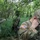HIARNG BWC 2026 Competitors Show Off Expert Soldiering Skills