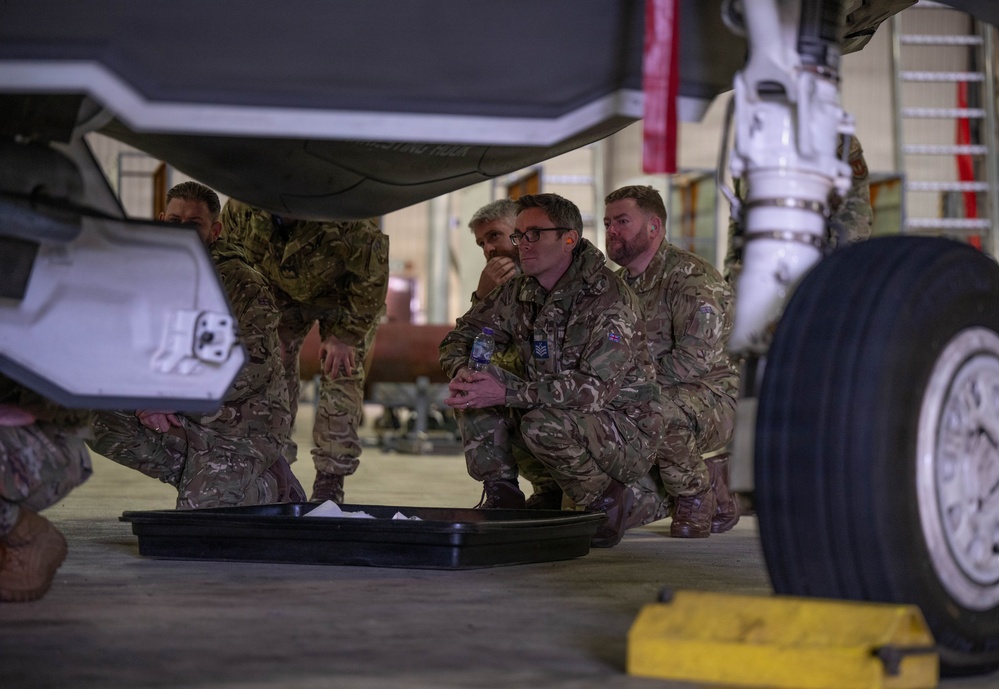 RAF, RN, USAF weapons integration demonstration