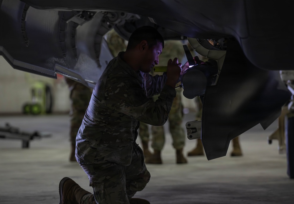 RAF, RN, USAF weapons integration demonstration