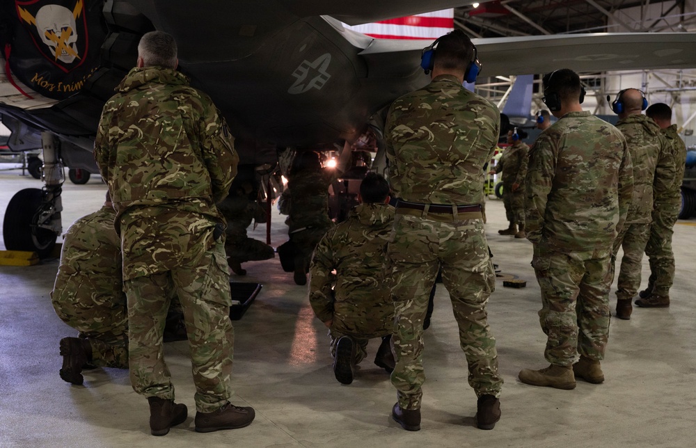 RAF, RN, USAF weapons integration demonstration