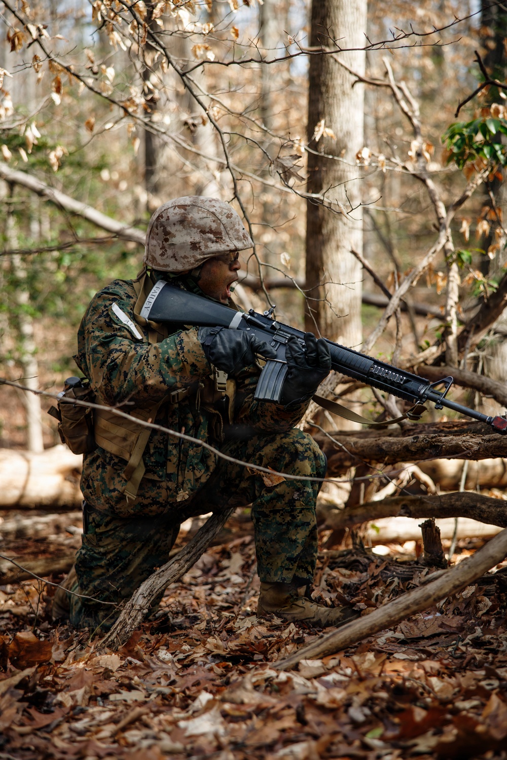 OCC 251 Company A conducts SULE 1