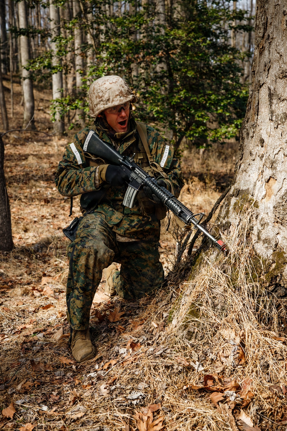 OCC 251 Company A conducts SULE 1