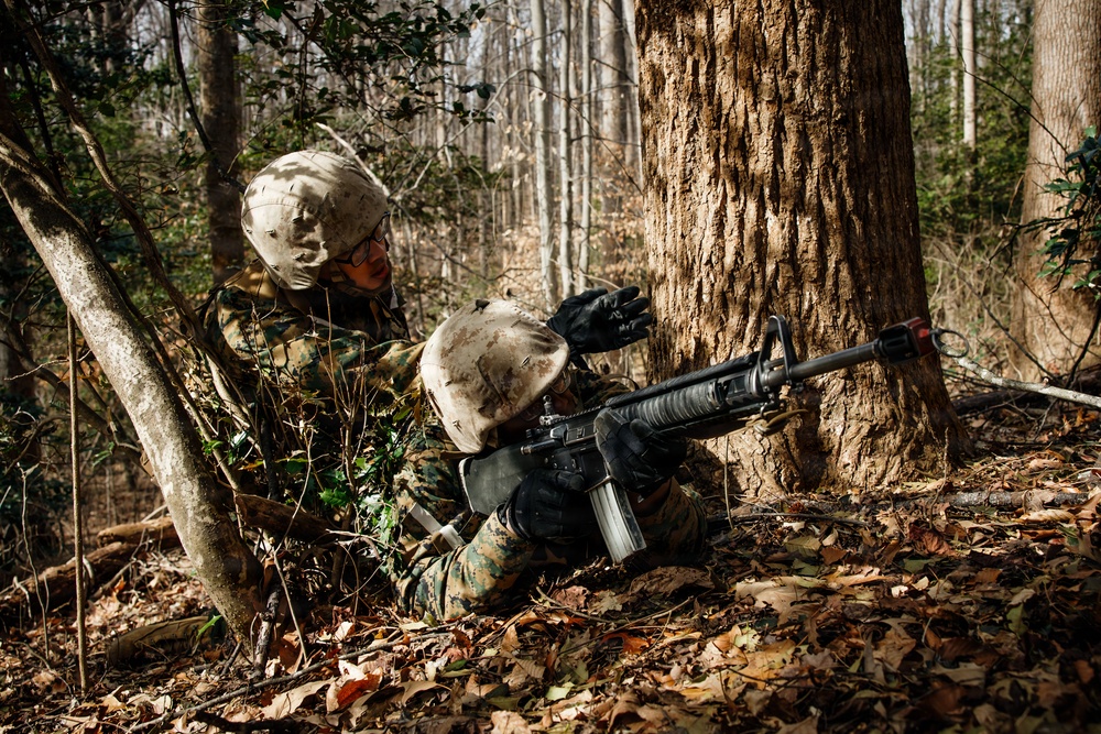 OCC 251 Company A conducts SULE 1