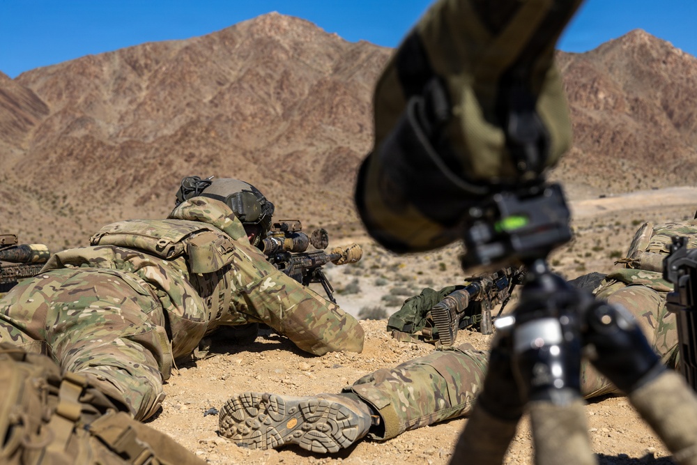 Royal Netherlands Marine Corps Snipers Conduct Live Fire at Range 400
