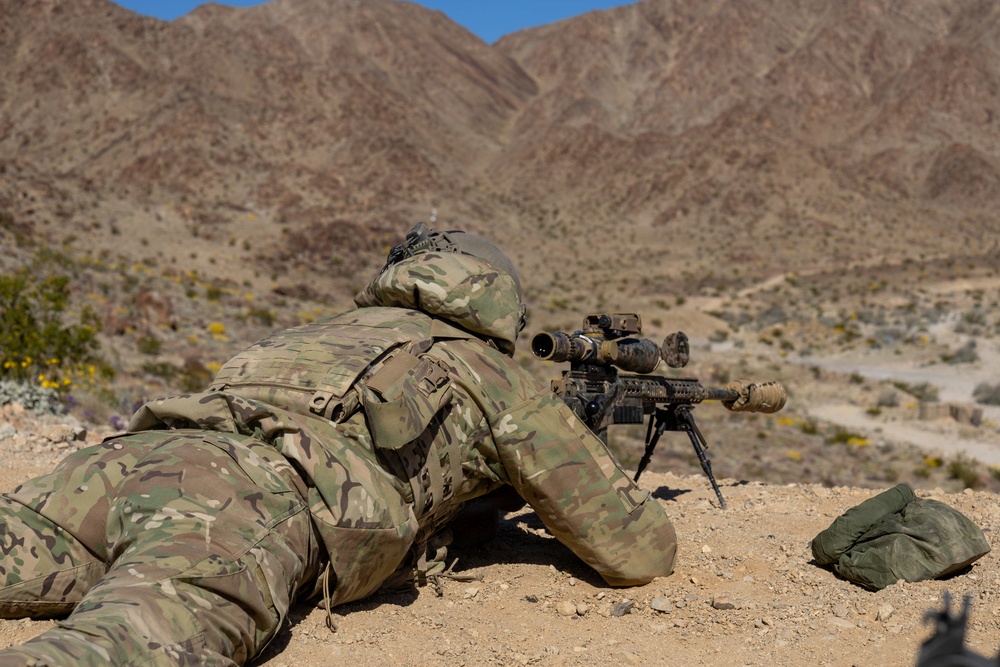 Royal Netherlands Marine Corps Snipers Conduct Live Fire at Range 400