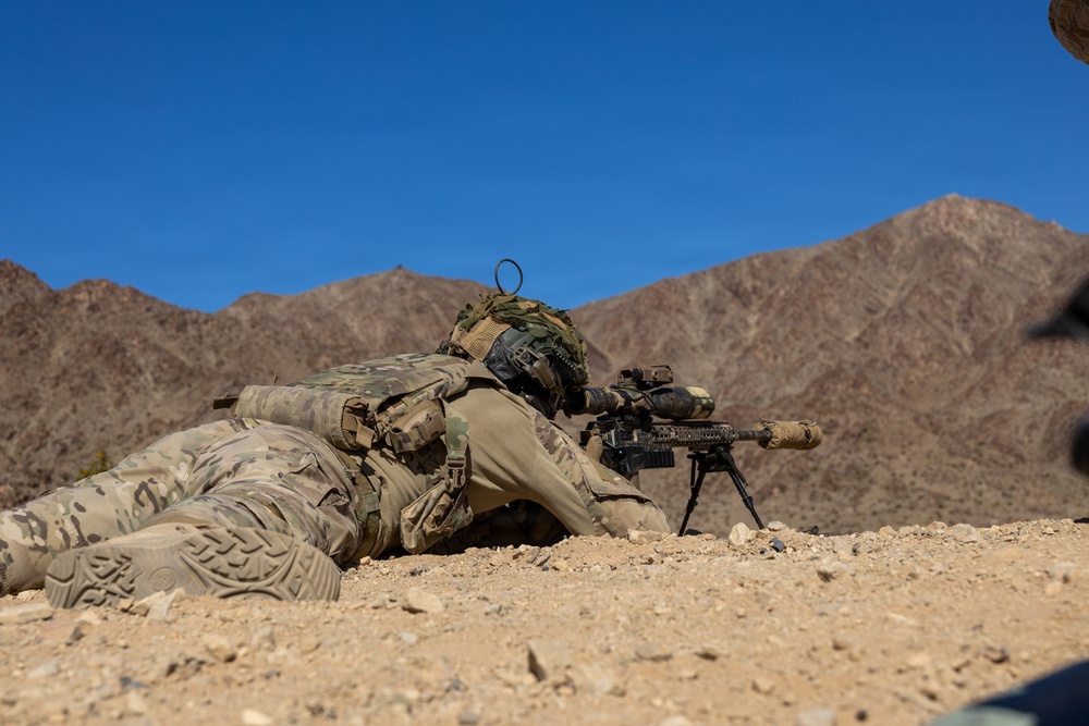 Royal Netherlands Marine Corps Snipers Conduct Live Fire at Range 400