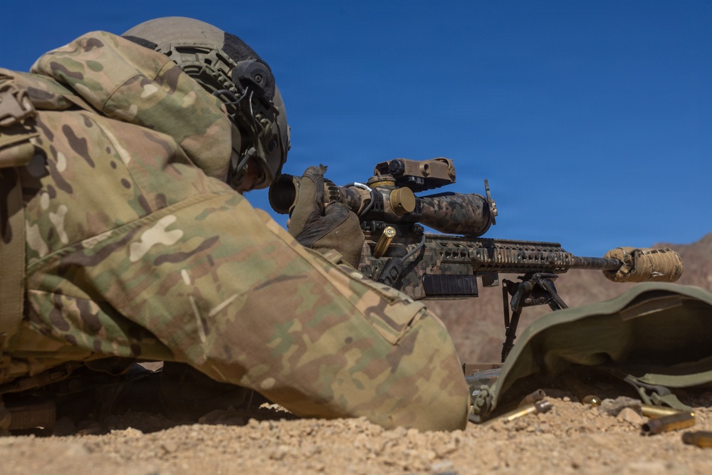 Royal Netherlands Marine Corps Snipers Conduct Live Fire at Range 400