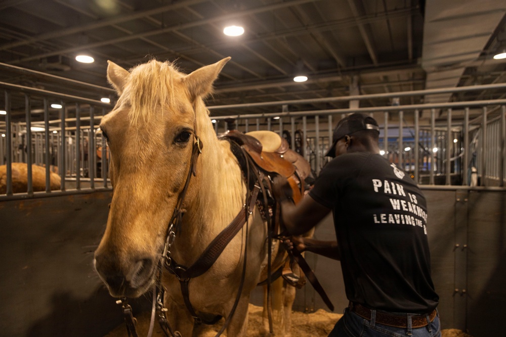 U.S. Marine Corps Mounted Color Guard presents the colors at the Houston Rodeo