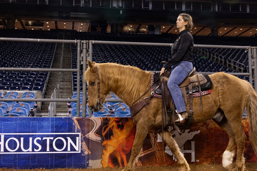 U.S. Marine Corps Mounted Color Guard presents the colors at the Houston Rodeo