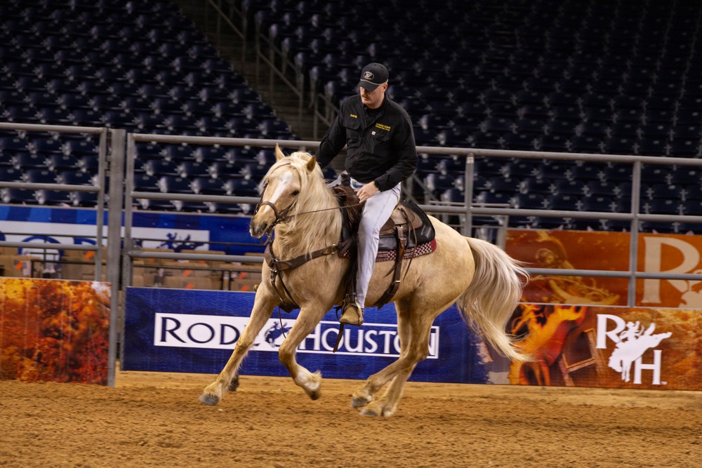 U.S. Marine Corps Mounted Color Guard presents the colors at the Houston Rodeo
