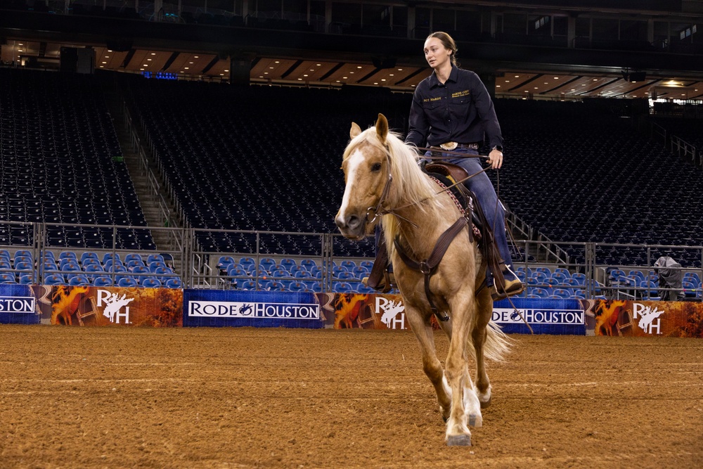 U.S. Marine Corps Mounted Color Guard presents the colors at the Houston Rodeo
