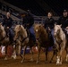 U.S. Marine Corps Mounted Color Guard presents the colors at the Houston Rodeo