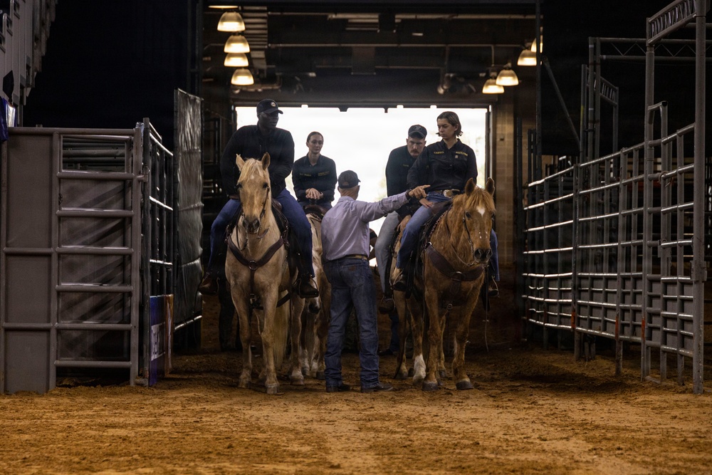 U.S. Marine Corps Mounted Color Guard presents the colors at the Houston Rodeo
