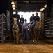 U.S. Marine Corps Mounted Color Guard presents the colors at the Houston Rodeo