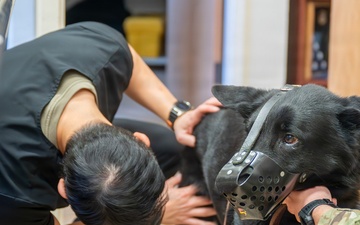 Caring for the force’s four-legged members: Maxwell’s veterinary services