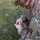 OC/T Loads Pistol Magazine at All Army OC/T Loads Pistol Magazine at All Army