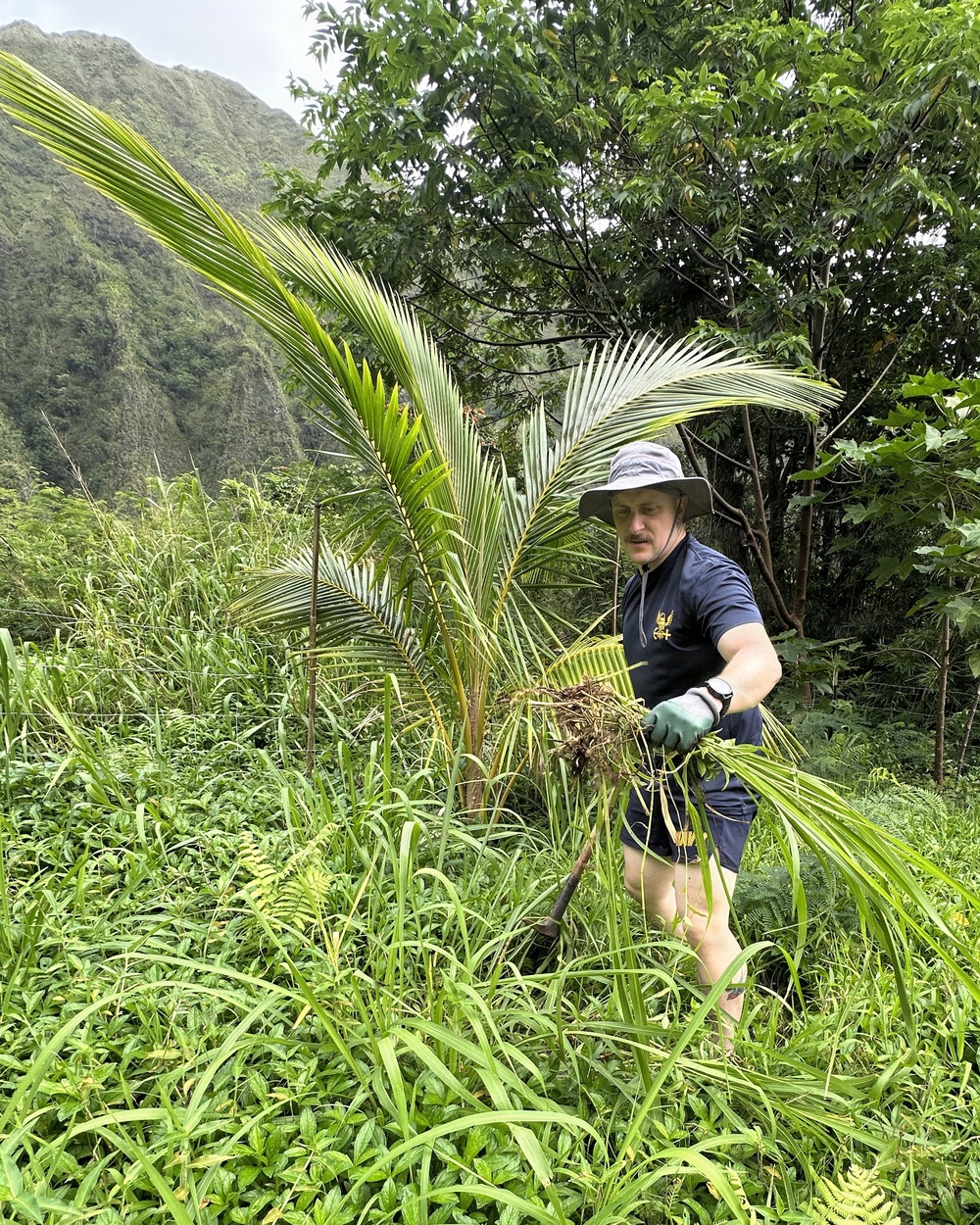 Hawaiʻi Navy Week Sailors volunteer at Haʻiku Valley Culture Preserve