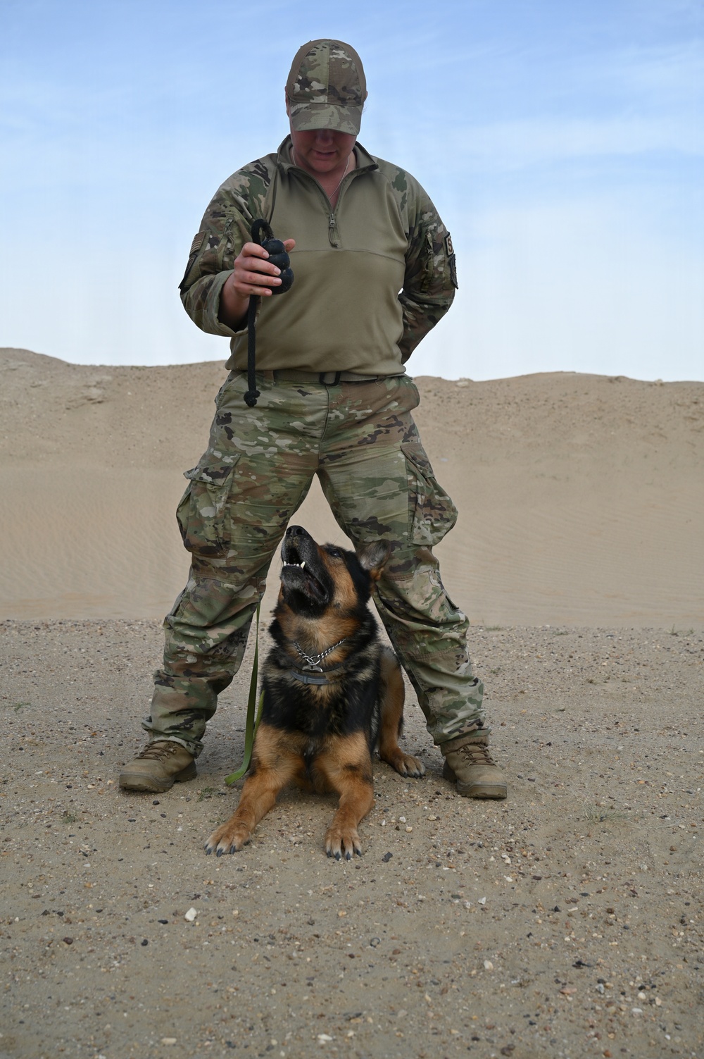 U.S Air Force Military Working Dog Supports Deployed Operations
