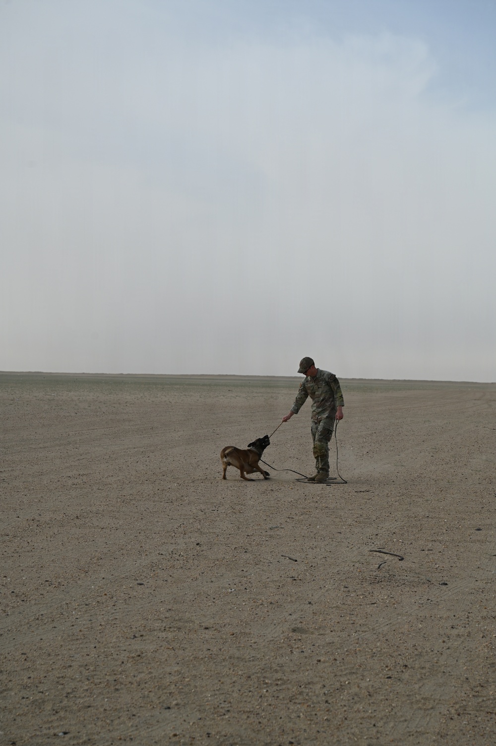 U.S Air Force Military Working Dog Supports Deployed Operations