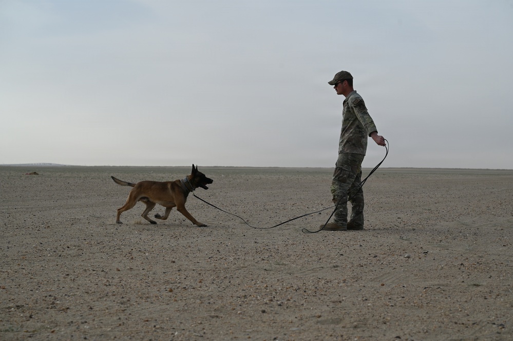 U.S Air Force Military Working Dog Supports Deployed Operations